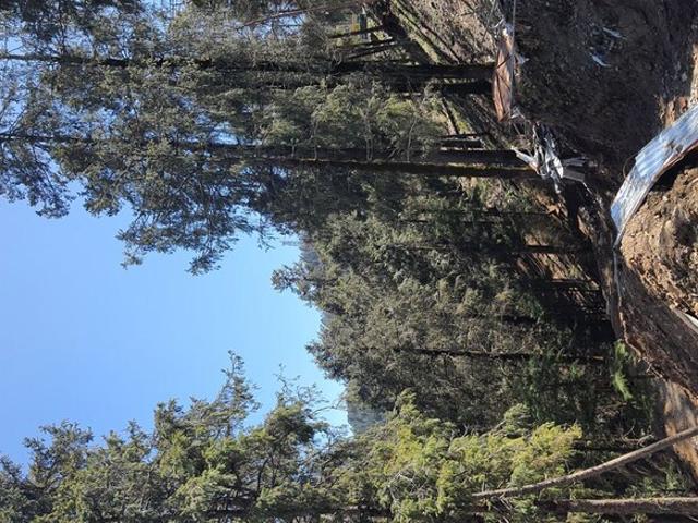 Land for sale in Shimla, Himachal Pradesh