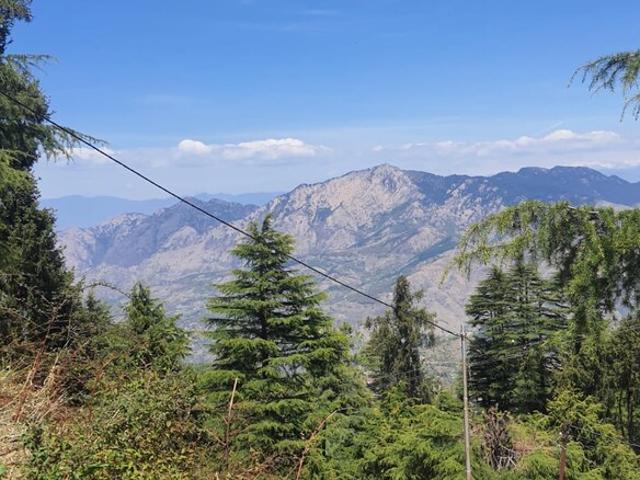 Land for sale in Shimla, Himachal Pradesh