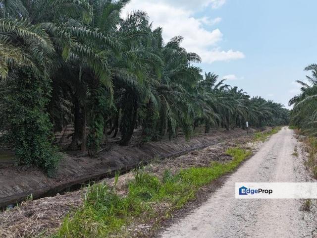 Shop for sale in Johor
