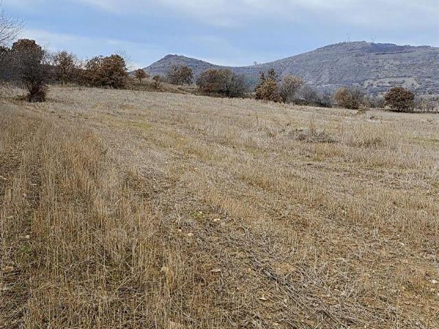 Kula, Manisa içerisinde satılık Arsa