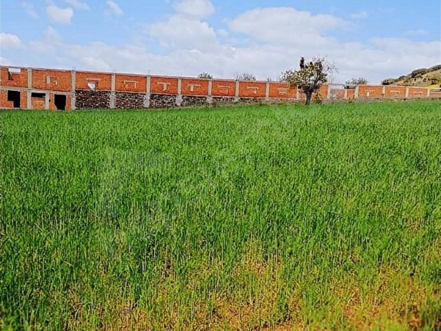 Kula, Manisa içerisinde satılık Dükkan