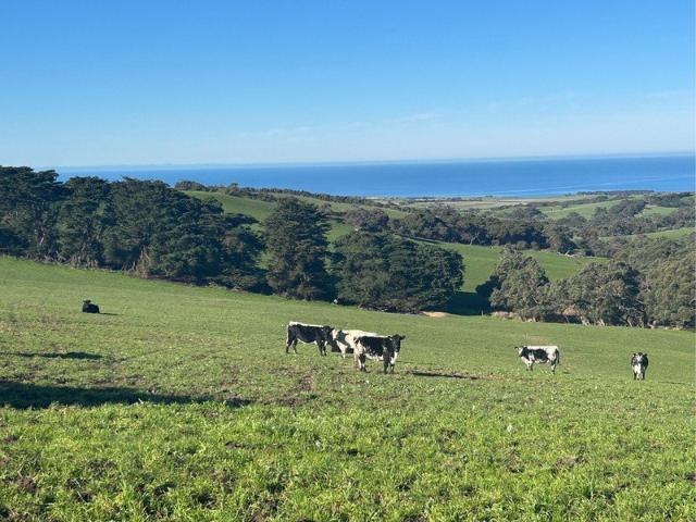 Cottage for sale in Willow Creek, South Australia