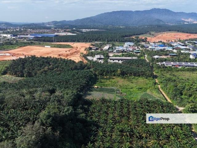 Warehouse for sale in Kulai