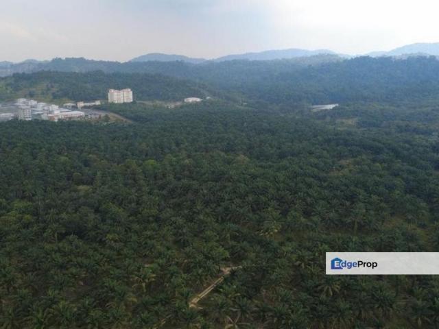 House for sale in Kulai, Johor