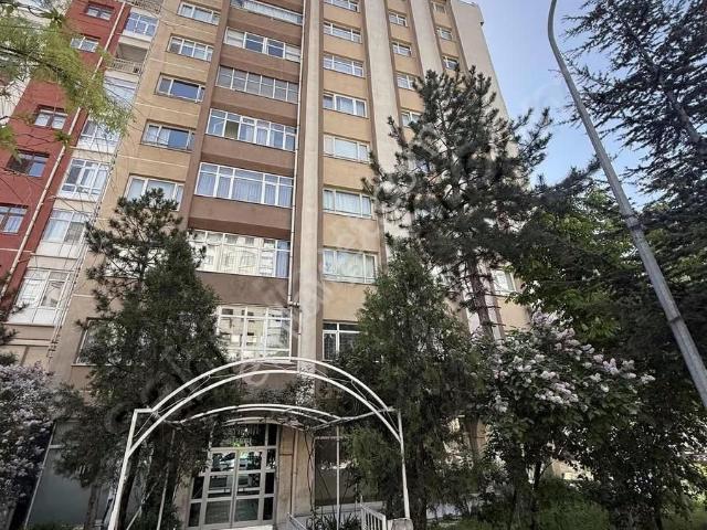Selçuklu, Konya içerisinde kiralık mülk