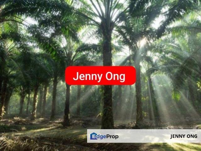 Warehouse for sale in Kedah