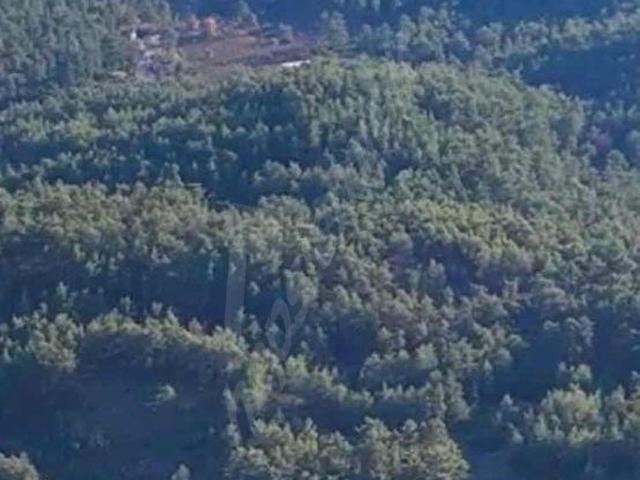 Kumluca, Antalya içerisinde satılık mülk