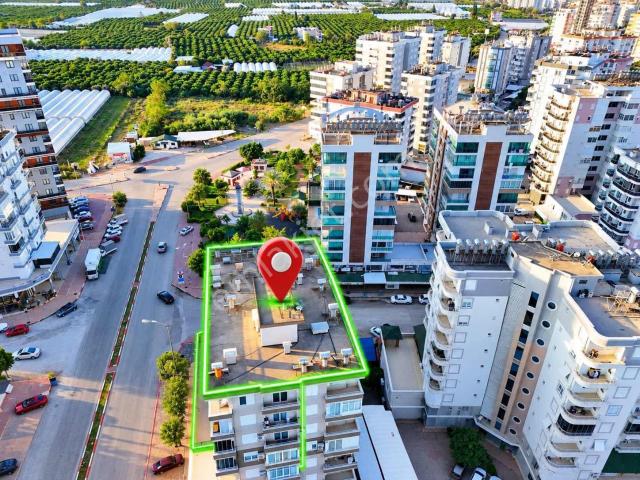 Narenciye, Kumluca içerisinde kiralık mülk
