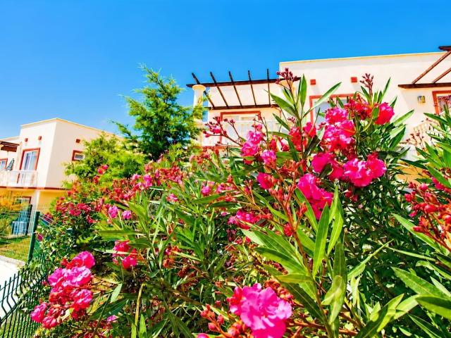 Bodrum, Muğla içerisinde satılık mülk