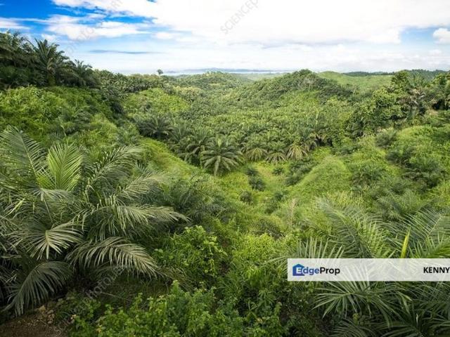 Shop for sale in Sabah