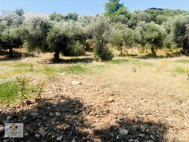 Torbali, İzmir içerisinde satılık mülk