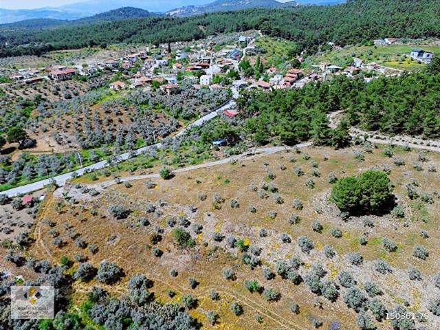 Torbali, İzmir içerisinde satılık mülk
