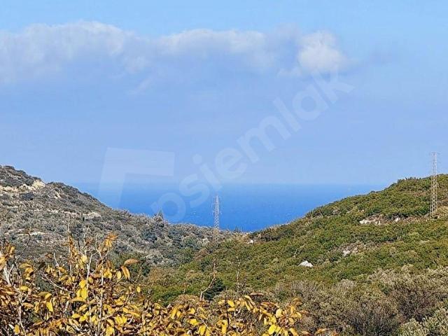 Karaburun, İzmir içerisinde satılık mülk