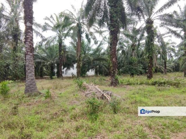 Warehouse for sale in Selayang, Selangor