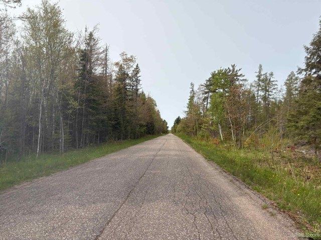Land for sale in Skandia, Michigan