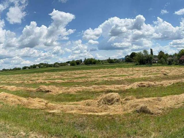 Дом продажа в Тернопольской области