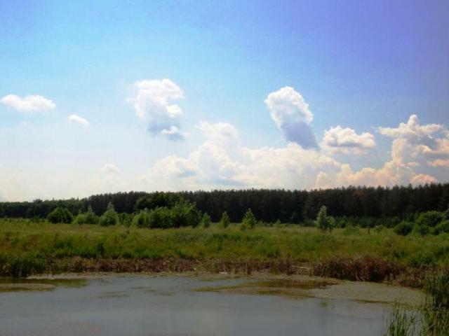 Коммерческая недвижимость продажа в Березовке, Винницкой области