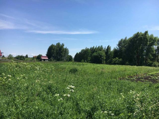 Коммерческая недвижимость продажа в Носовке, Черновицкой области