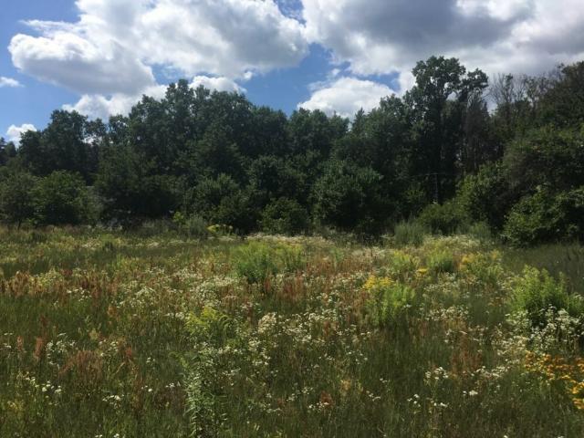 Коммерческая недвижимость продажа в Вита-Почтовой, Винницкой области