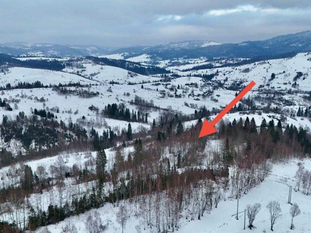 Коммерческая недвижимость продажа в Львовская, Плавье