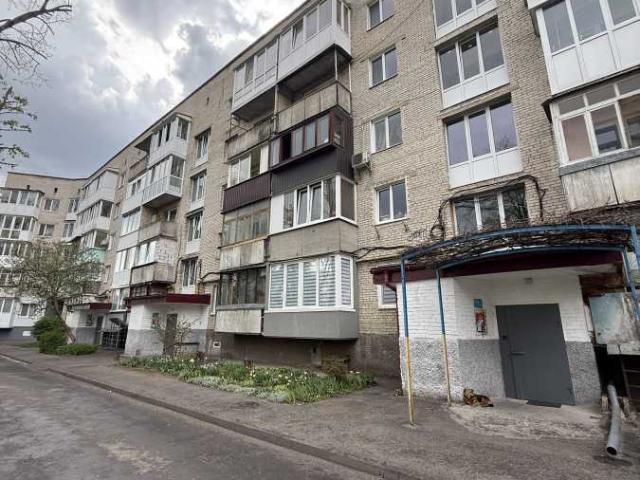 Квартира продажа в Великом Омелянике