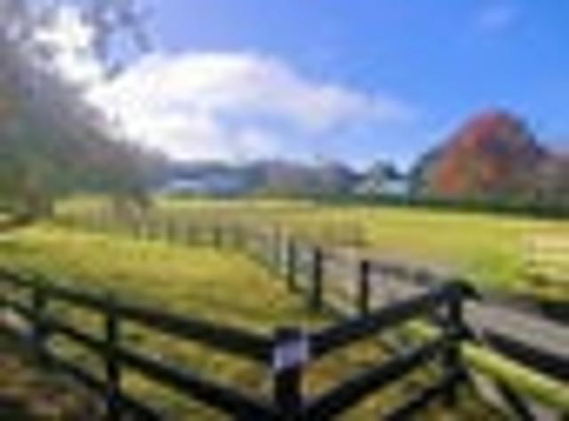 Land for sale in Morrinsville, Waikato