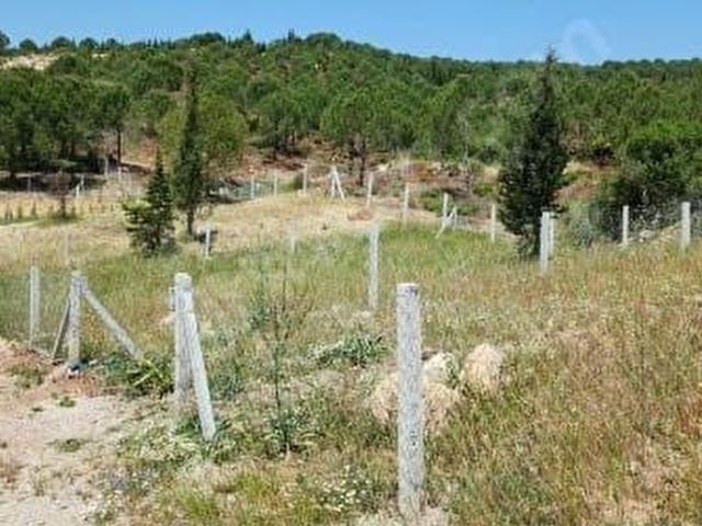 Menderes, İzmir içerisinde satılık Arsa
