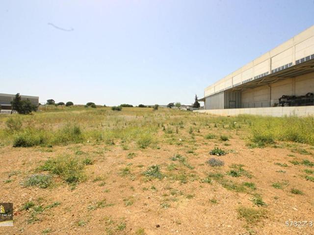 Menderes, İzmir içerisinde satılık mülk
