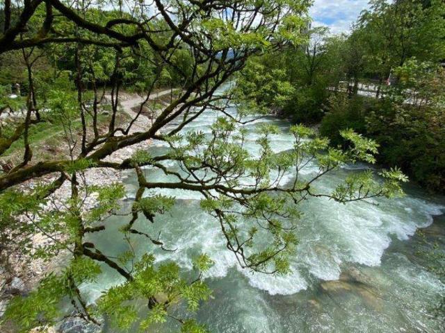 Immobilie kaufen in Schleifen, Wolfsberg