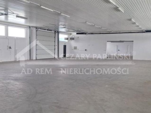 Mieszkanie do wynajęcia w Kurów, Lubelskie