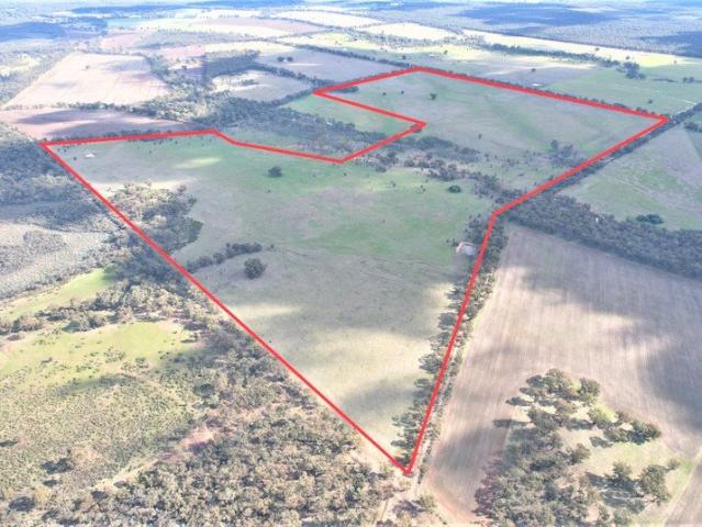 Cottage for sale in Kingower, Victoria