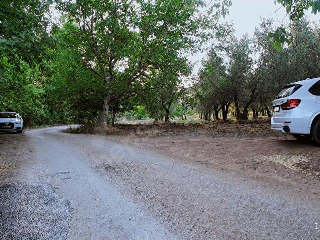 Gemlik, Bursa içerisinde satılık mülk