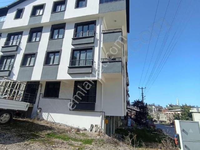 Ordu içerisinde kiralık mülk
