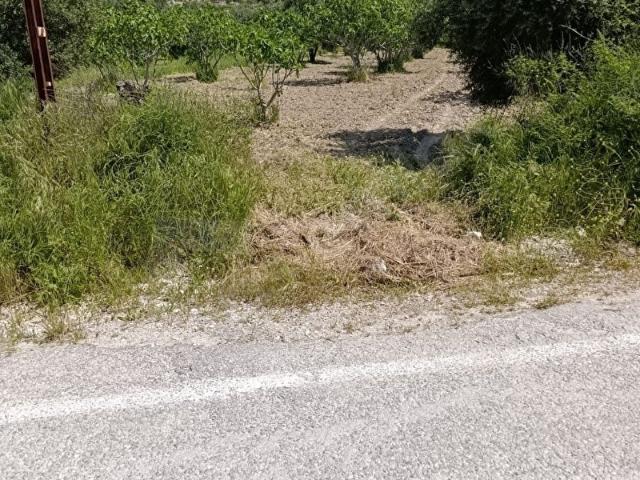 Sarayköy, Denizli içerisinde satılık mülk