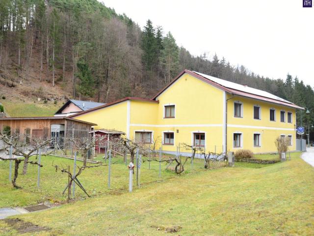 Gewerbe kaufen in Aibl, Steiermark