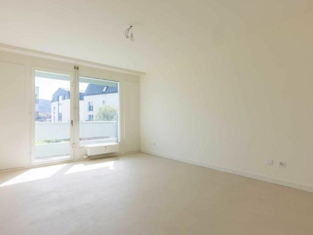 Apartment mieten in Reinach (BL), Basel-Landschaft