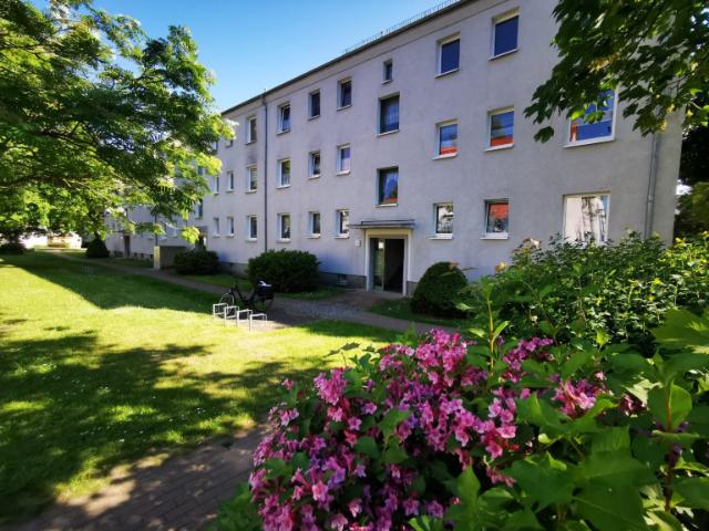 Apartment mieten in Güstrow, Mecklenburg-Vorpommern
