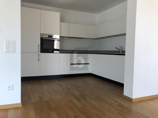 Wohnung kaufen in Mendrisio, Tessin