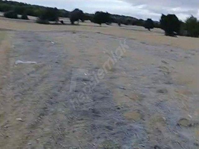 Altinyayla, Kütahya içerisinde satılık Arsa