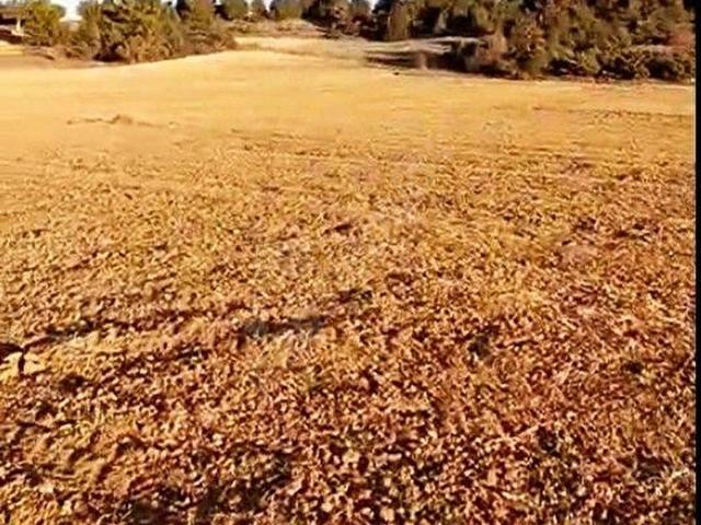 Altinyayla, Kütahya içerisinde satılık Arsa