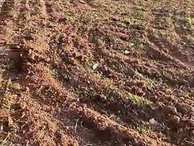 Altinyayla, Kütahya içerisinde satılık Arsa