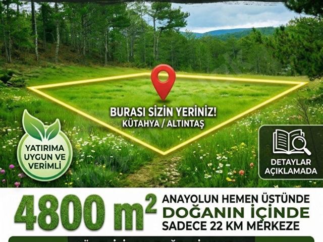 Altinyayla, Kütahya içerisinde satılık Arsa