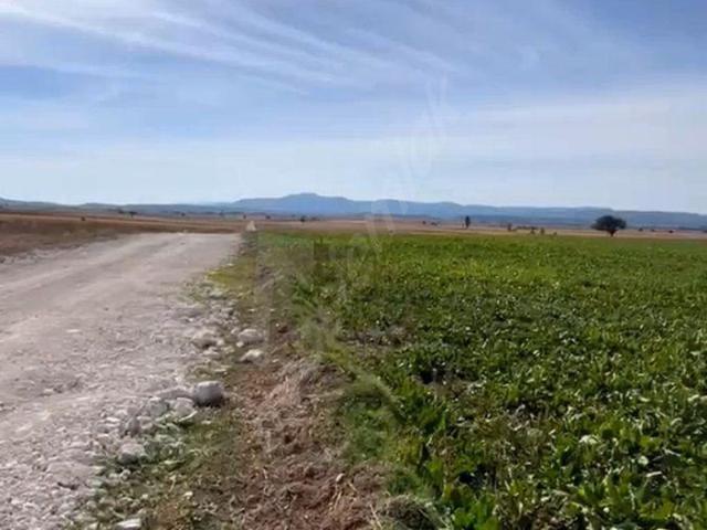 Zobu, Çavdarhisar içerisinde satılık Arsa