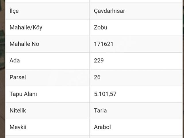 Zobu, Çavdarhisar içerisinde satılık Arsa