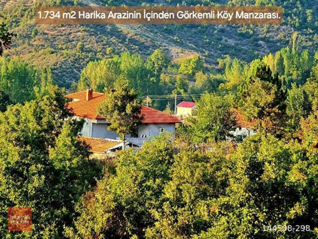 Domaniç, Kütahya içerisinde satılık mülk