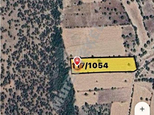 Emet, Kütahya içerisinde satılık Arsa