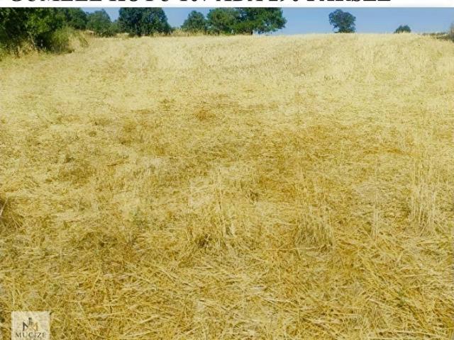 Gediz, Kütahya içerisinde satılık mülk