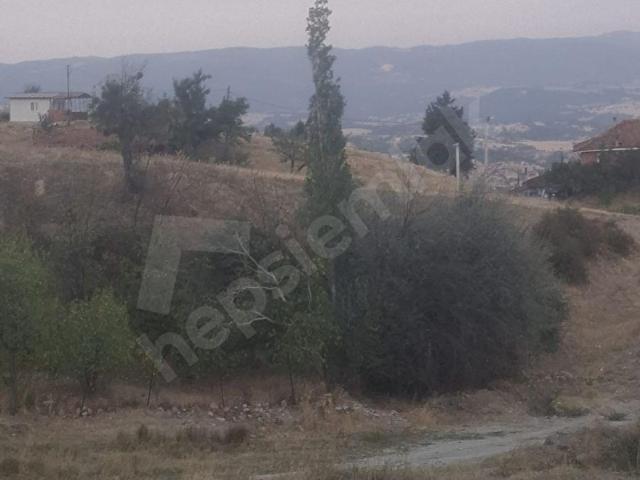 Yeni Ece, Gediz içerisinde satılık mülk