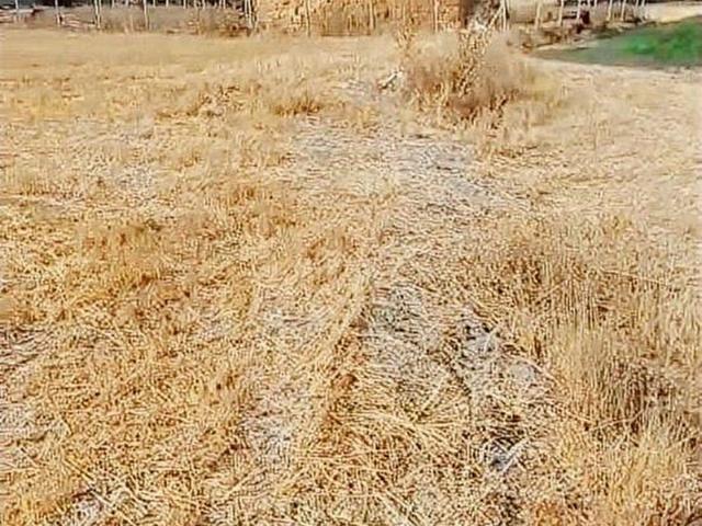 Kütahya Merkez, Kütahya içerisinde satılık Arsa