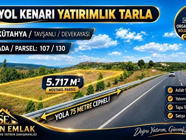 Tavşanli, Kütahya içerisinde satılık Arsa